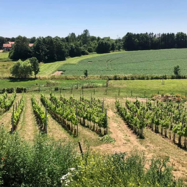 Domaine Beekborne - Patrick Carmans