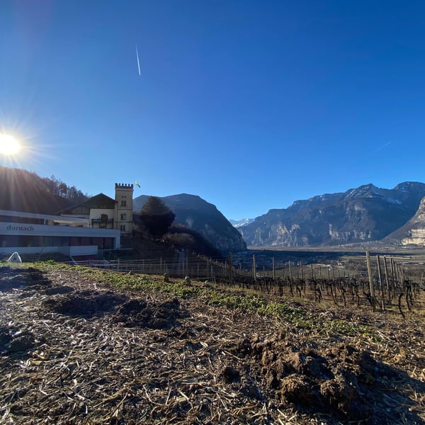 Patrick & Karoline Uccelli