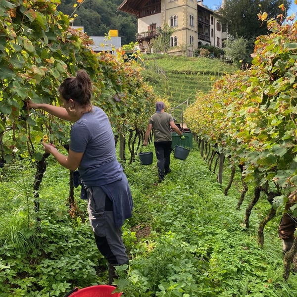 Patrick & Karoline Uccelli