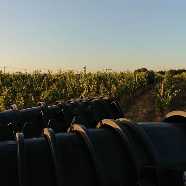 Domaine Pierre Chauvin - Paul-Eric Chauvin