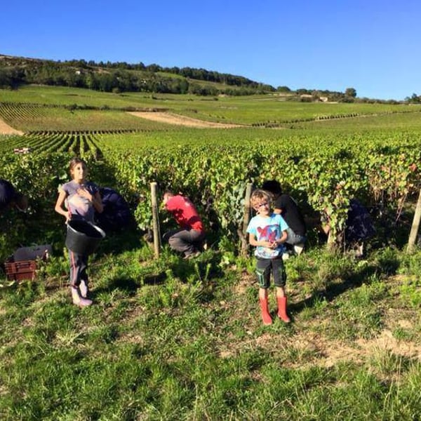 Domaine Ami - Paul Marchand-Perarnau & Willy Roulendes