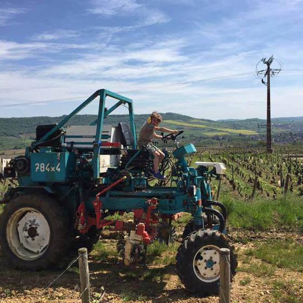 Domaine Ami - Paul Marchand-Perarnau & Willy Roulendes