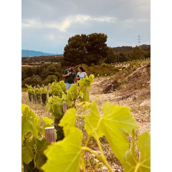 Niu Celler - Paula y Ferran