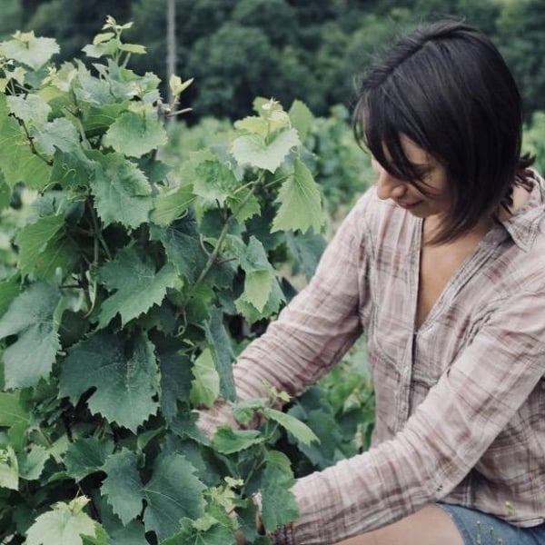 Domaine de La Grosse Pierre - Pauline Passot