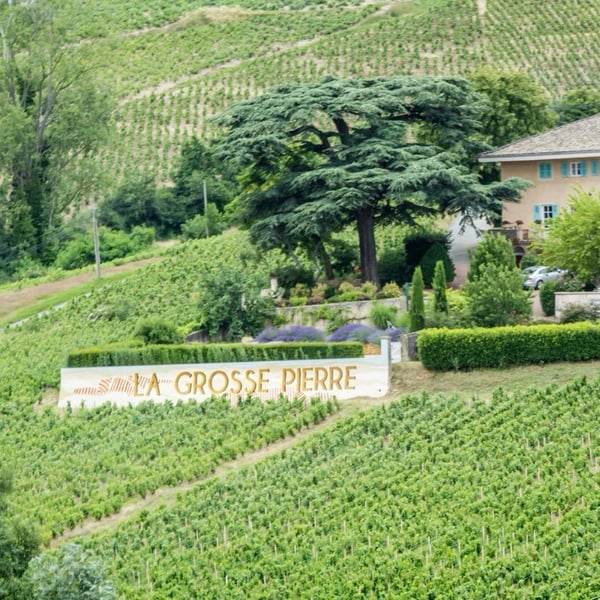 Domaine de La Grosse Pierre - Pauline Passot