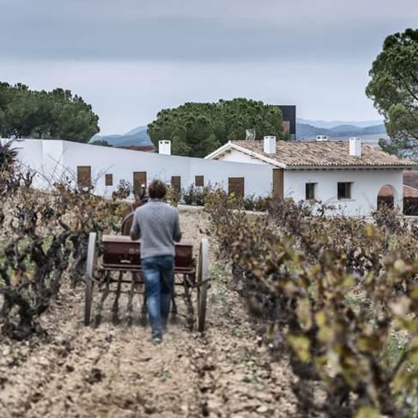 Vins Pepe Raventós - Pepe Raventós