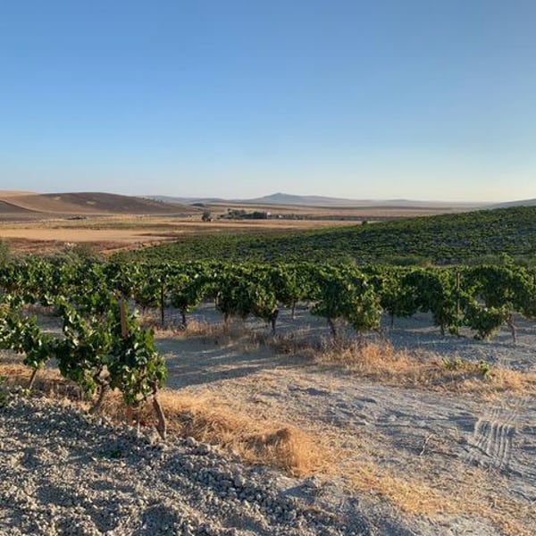 Roca Viva Wines - David Raya & Peter Freislederer