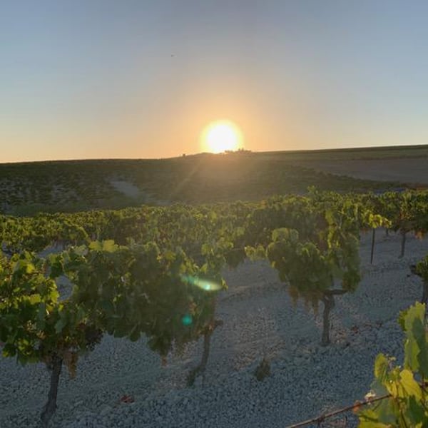 Roca Viva Wines - David Raya & Peter Freislederer