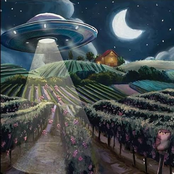 Gönc Winery / Grape Adbuction - Peter Gönc