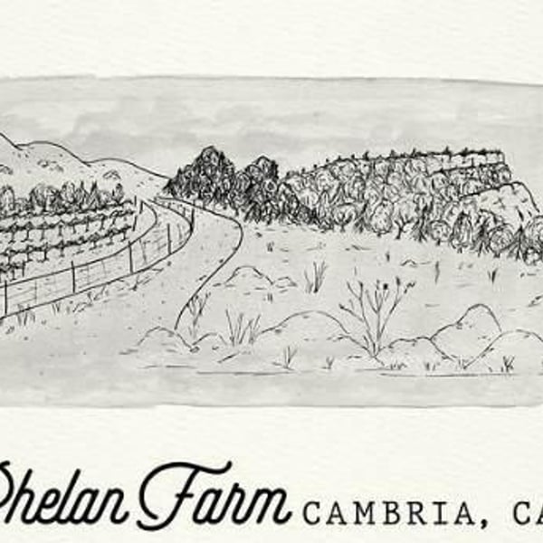 Phelan Farm - Phelan Family & Rajat Parr