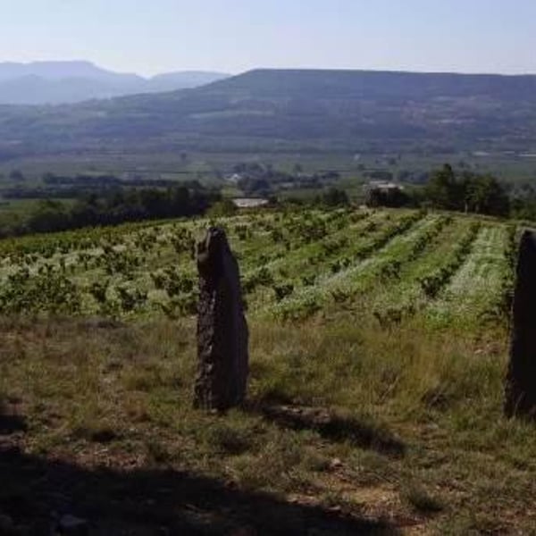 Viret - Philippe & Alain Viret