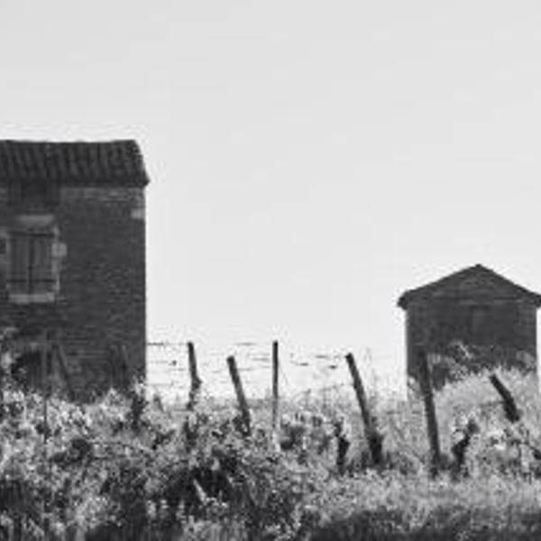 Clos Dauliac - Pierre Baltenweck