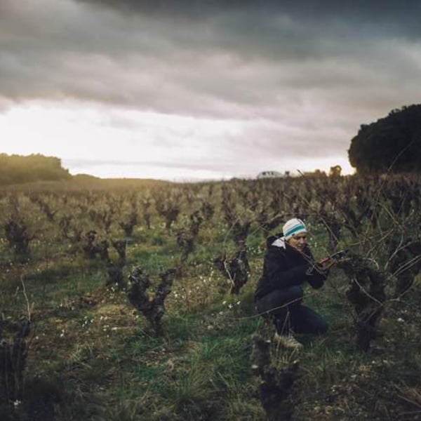 Domaine Pierre et l'étoile - Pierre Regnault