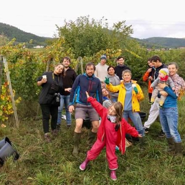 Domaine Pierre Weber - Pierre Weber