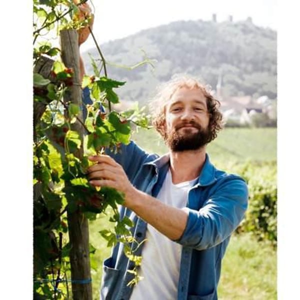 Pierre Weber
