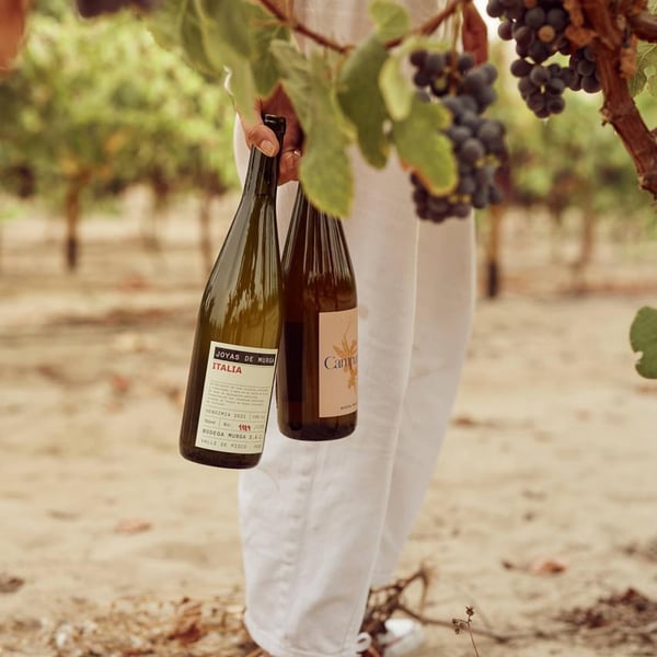 Bodega Murga - Pietra Possamai, Alberto Di Laura & Arturo Inga