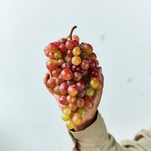 Bodega Murga - Pietra Possamai, Alberto Di Laura & Arturo Inga
