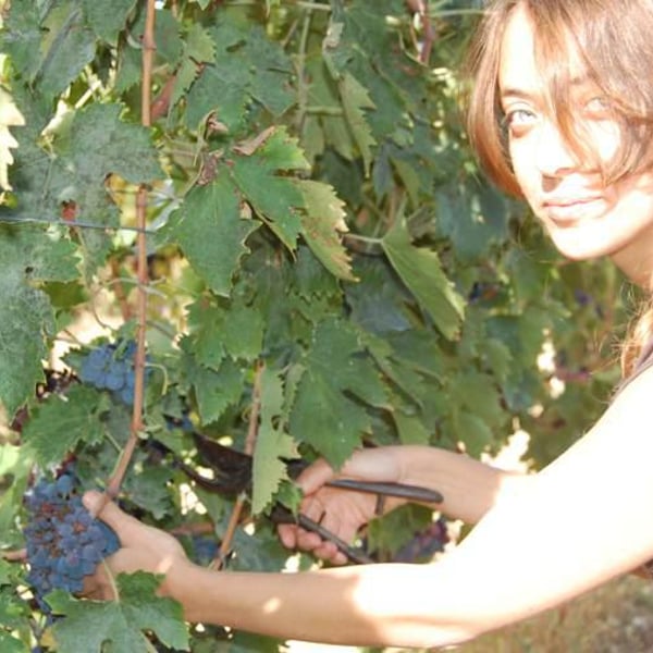 Podere La Brigata