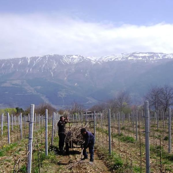 Podere La Brigata