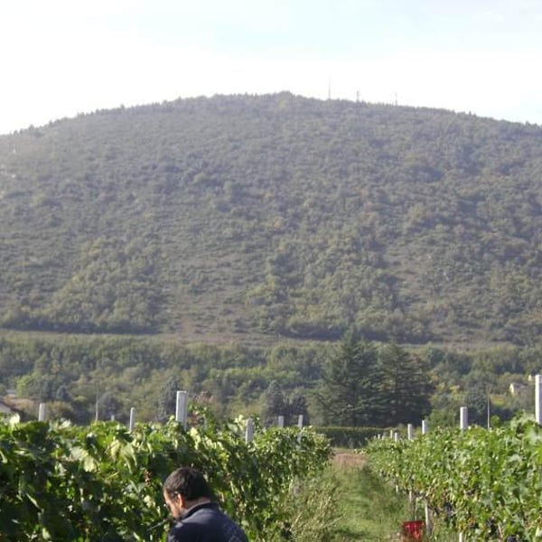 Podere La Brigata