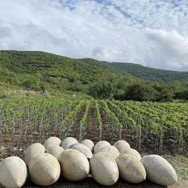 Vellino Wines - Beka Jimsheladze