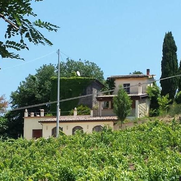 Raffaello Annicchiarico