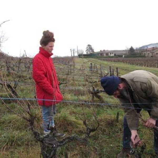 Lapins Des Vignes - Raphaël Beysang & Emélie Hurtubise