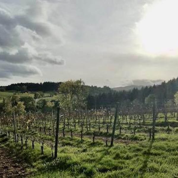 Domaine de La Bénisson-Dieu - Régis et Aude-Reine Anouil