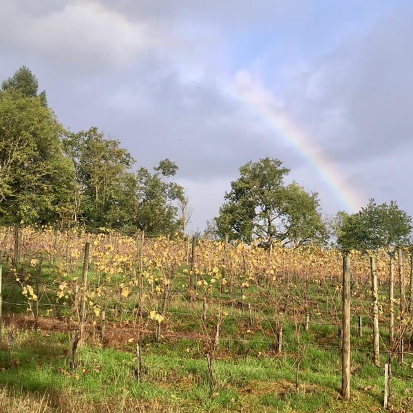 Domaine de La Bénisson-Dieu - Régis et Aude-Reine Anouil