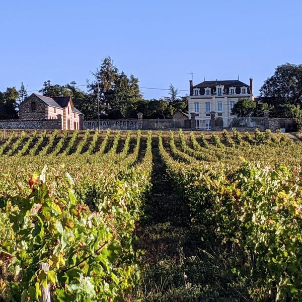 Château Perray-Jouannet - Rémi Pivert
