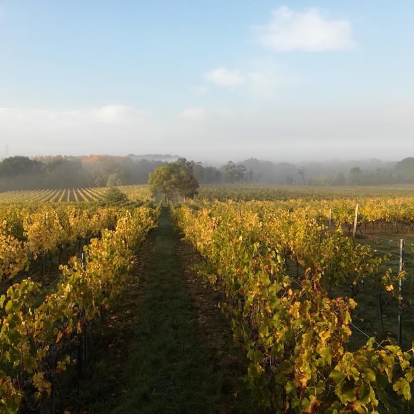 Château Perray-Jouannet - Rémi Pivert