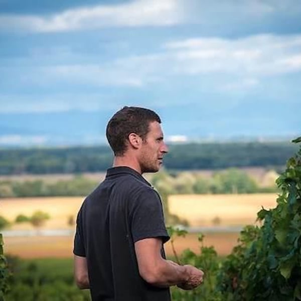 Domaine Gross - Rémy & Vincent Gross
