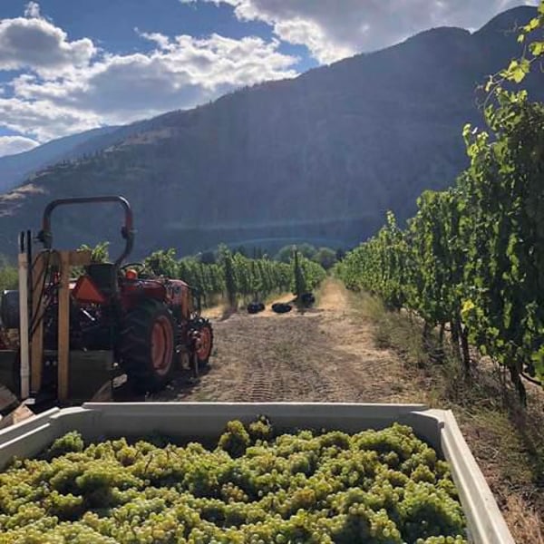 Little Farm Winery - Rhys Pender & Alishan Driediger