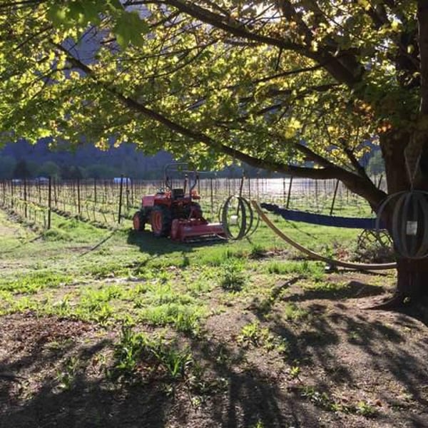 Little Farm Winery - Rhys Pender & Alishan Driediger