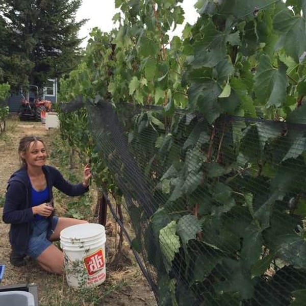 Little Farm Winery - Rhys Pender & Alishan Driediger