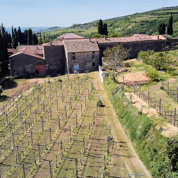 Azienda Agricola Postuman di Marinello Riccardo - Riccardo Marinello