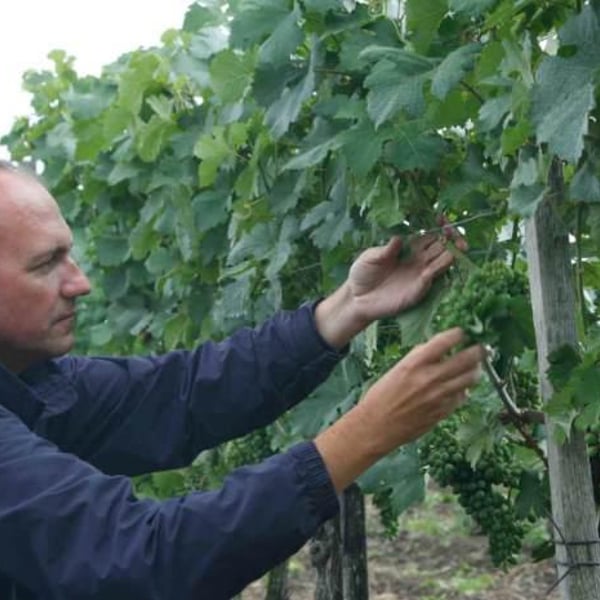Joiseph Weingut - Richard Artner, Xandl Kagl & Luka Zeichmann