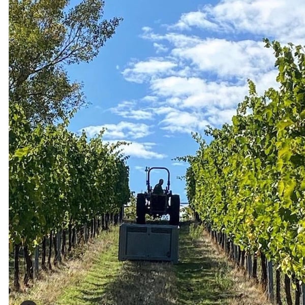 Rita Babini & Claudio Ancarani