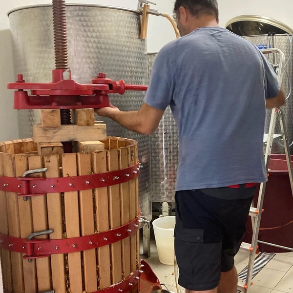 Azienda Vitivinicola Apiua - Roberto Castignani & Francesca Bertin