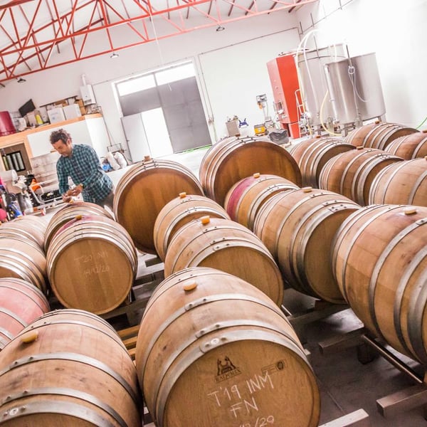 Vinos Malandrín - Roberto Martinez Ramos