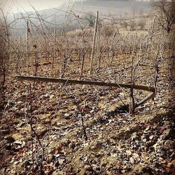 Cascina Gasparda - Roberto & Mauro Salvaneschi
