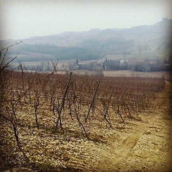 Cascina Gasparda - Roberto & Mauro Salvaneschi