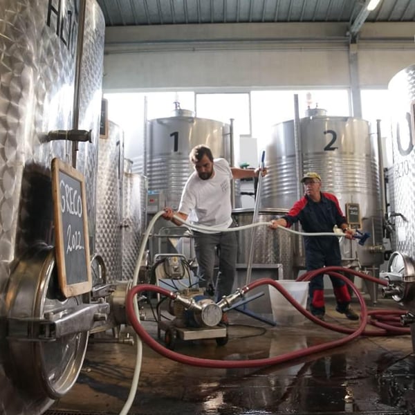 Azienda Agricola Toscani - Rocco Toscani
