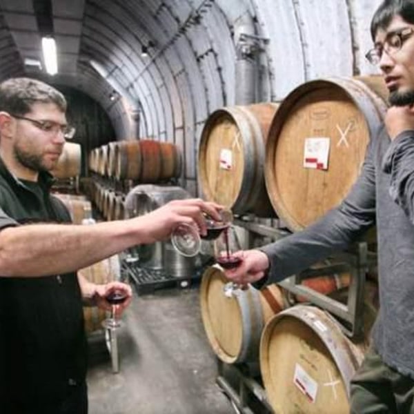 Coco Farm & Winery - Romain Weinstock & Toyoichiro Shibata