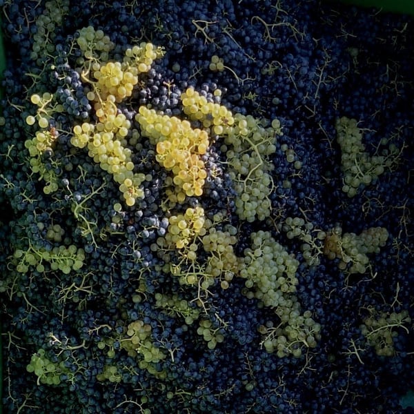 Strohschneider - low intervention wine - Roman Strohschneider