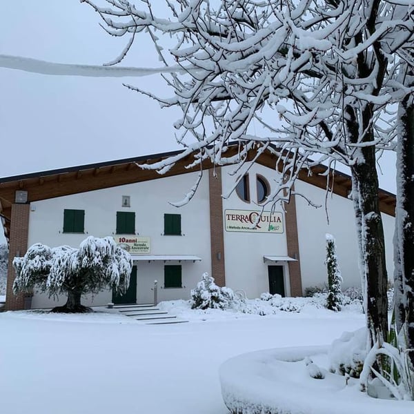 Romano & Giorgia Mattioli