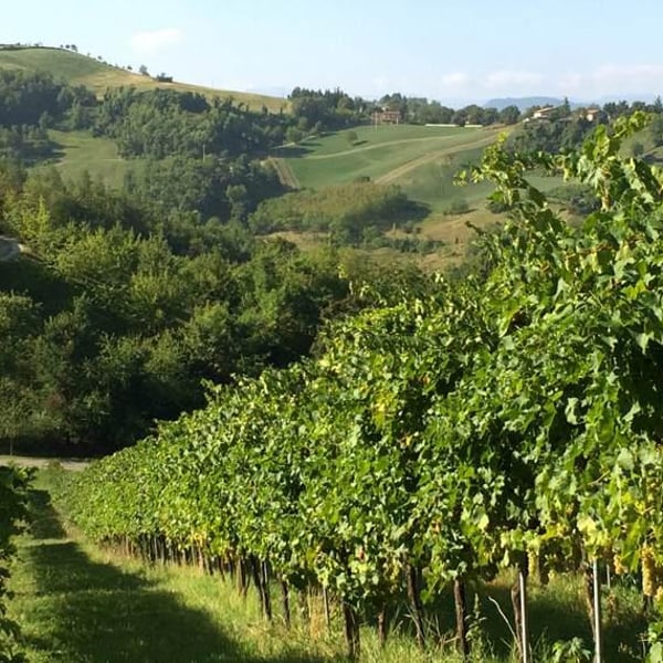 Romano & Giorgia Mattioli