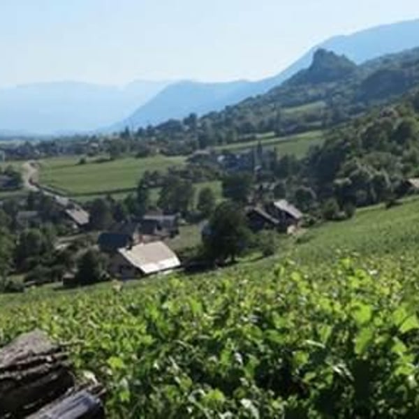 Domaine Prieuré Saint-Christophe - Roselyne & Michel Grisard (Retired)