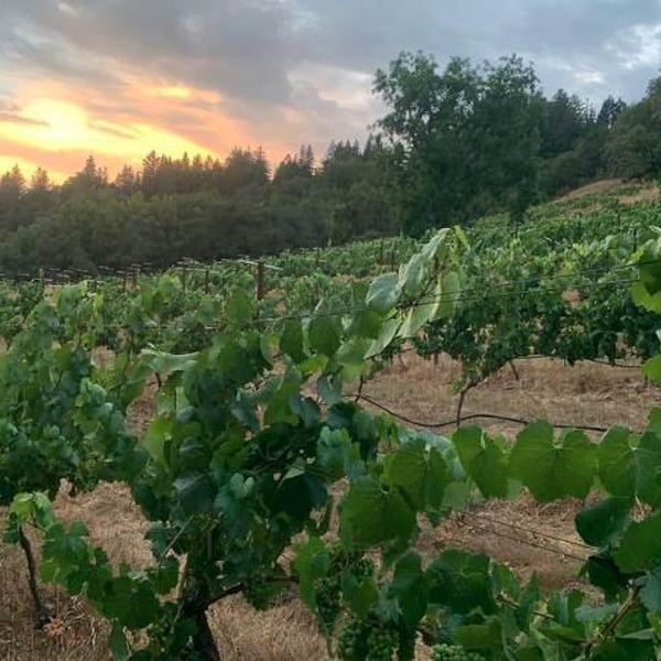 Stirm Wine Company - Ryan Stirm