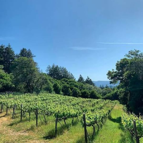 Stirm Wine Company - Ryan Stirm